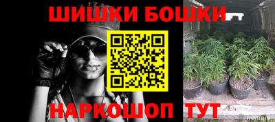бошки Камышлов