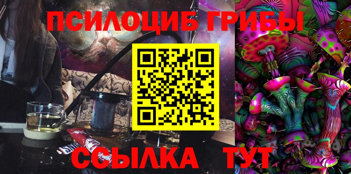 Махачкала  Галлюциногенные грибы Psilocybe  Вход с VPN 