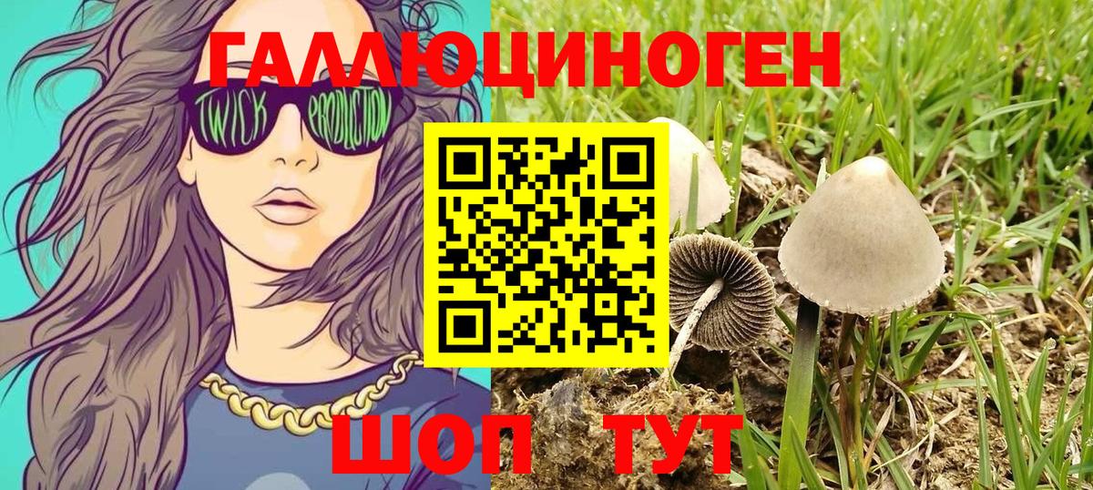 Галлюциногенные грибы MAGIC MUSHROOMS Махачкала