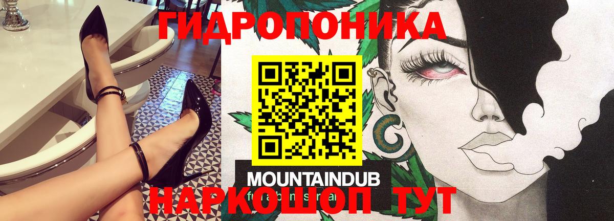 Бошки марихуана сатива Махачкала